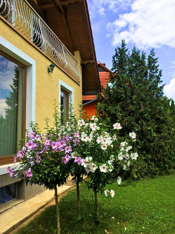 Petra Apartmanhaz Badacsonytomaj Dış mekan fotoğraf